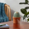 Cactus Ultrasonic Diffuser Green - Opalhouse™ -Opalhouse GUEST be681bb5 49e3 41f7 99a3 5bc52fb79585